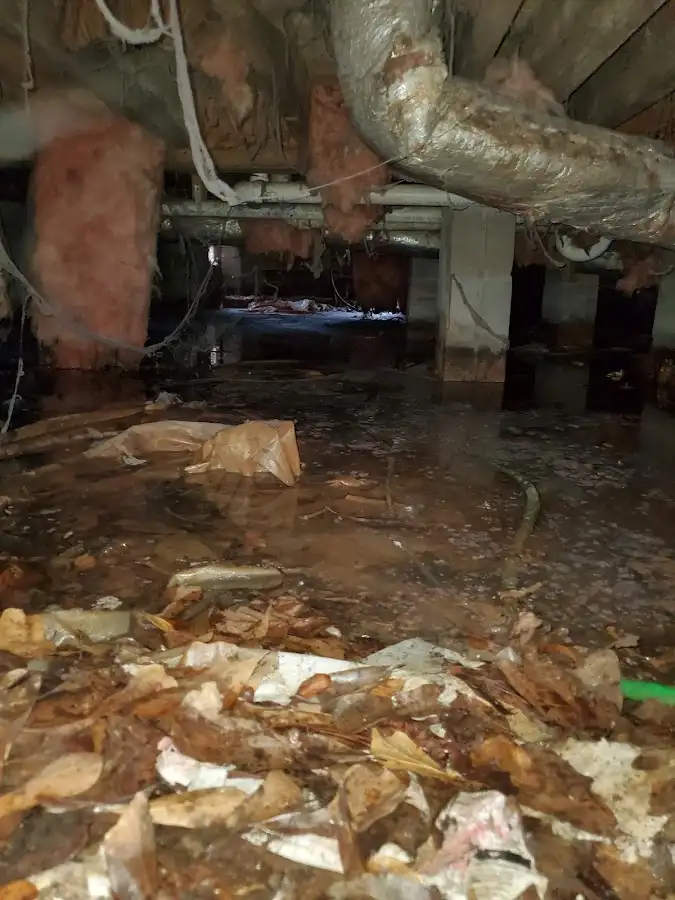 Crawl space flood assessment for Commercial Water Damage Restoration in Haddon Heights